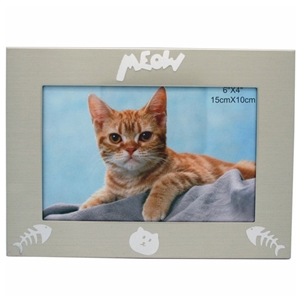 4x6 Inch Cat Picture Frame Matt Brushed Champagne CLEARANCE ITEM