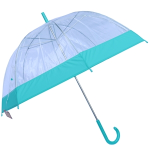 Betty Birch Clear Domed Umbrella Teal