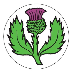 1 Inch Domed Centre Scottish Thistle Clearance Price 10p