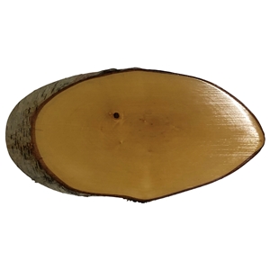 R02 Blank Rustic Wood Slice Medium