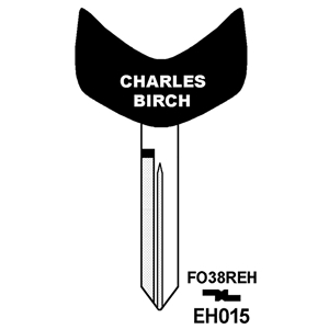 Electronic Key Blade FO38REH