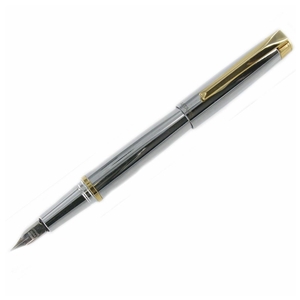 Approach Fountain Pen Stainless Steel And Gold
