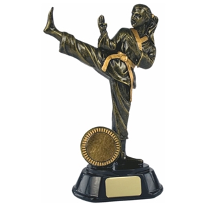 6.5 Inch Resin 3D Female Karate Figure Trophy Antique Gold. Clearance Price £1.50