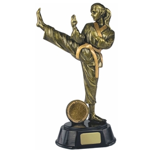 8.25 Inch Resin 3D Female Karate Figure Trophy Antique Gold. Clearance Price £1.95