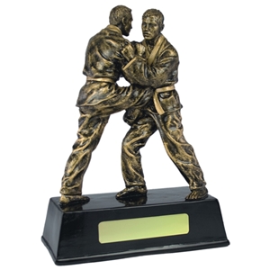 7.5 Inch Resin Judo Award Antique Gold. Special Trophy Clearance Price £1.95