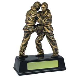6.25 Inch Resin Female Judo Award Antique Gold. Special Trophy Clearance Price £1.50