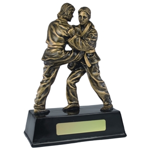 7.5 Inch Resin Female Judo Award Antique Gold. Special Trophy Clearance Price £1.95