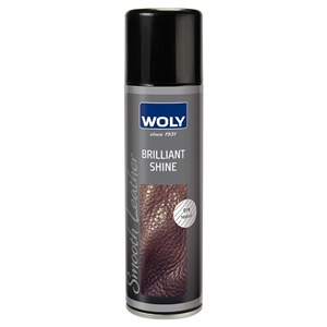 Woly Brilliant Shine 250ml Spray £1.00 Clearance Price Whilst Stocks Last